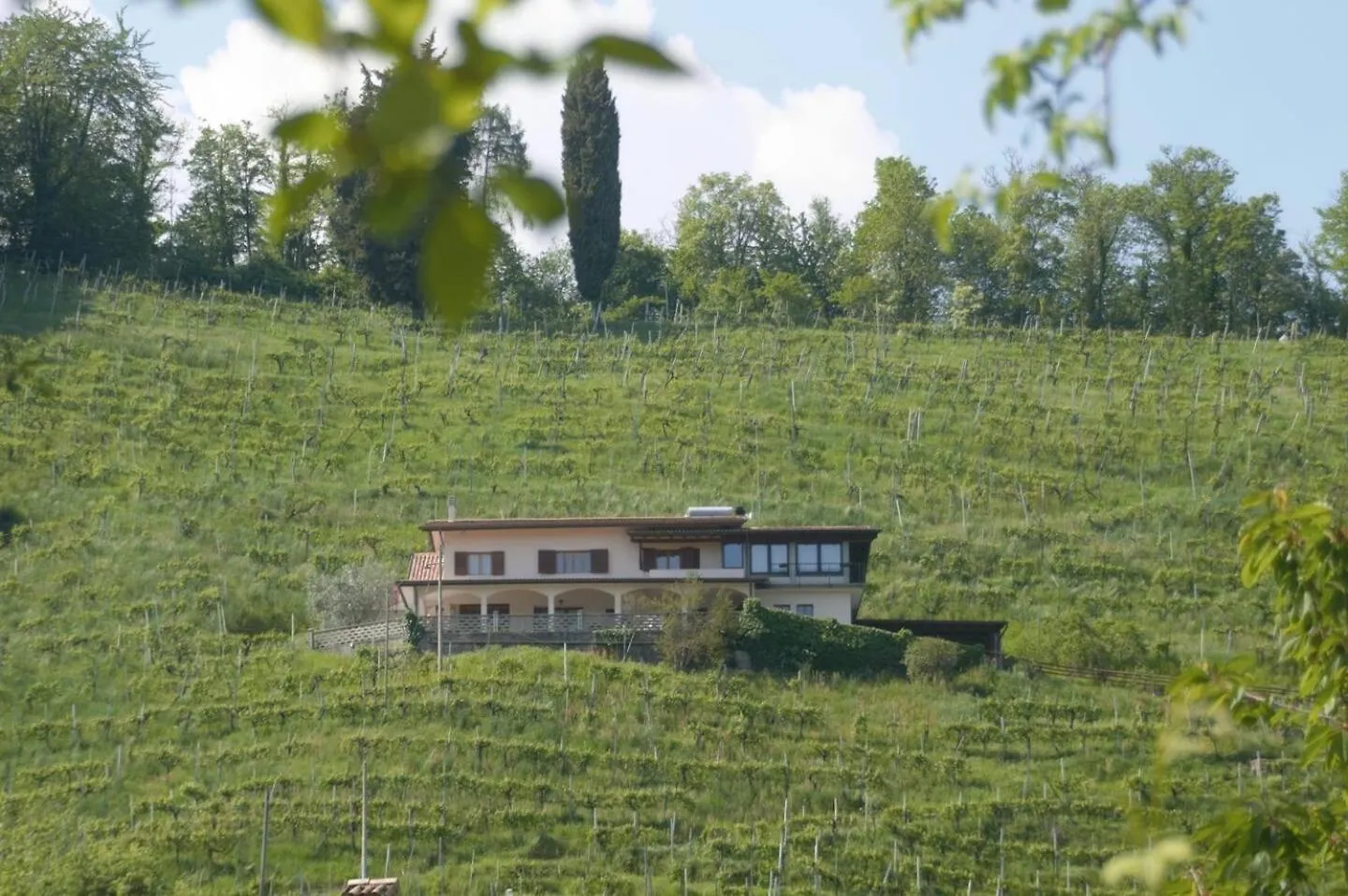 Hotel Colle Del Sole Miane 0*,